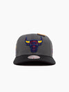 Chicago Bulls Solid Base Pro Crown