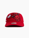 Chicago Bulls Logo Blast Deadstock Snapback