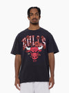 Chicago Bulls Valentines Day Arch Tee