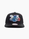 Charlotte Hornets Team Colour Logo Pro Pinch Snapback