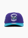 Charlotte Hornets Swarm and Sting Pro Crown