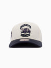 Charlotte Hornets Acai Pro Crown Snapback