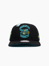 Charlotte Hornets Ice Cold Pro Crown