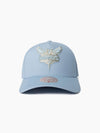 Charlotte Hornets Seasonal Pro Crown Snapback