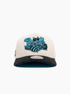 Charlotte Hornets Overspray Pro Pinch Snapback