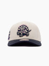 Toronto Raptors Acai Pro Crown Snapback