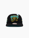 Vancouver Grizzlies Ice Cold Pro Crown